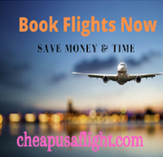 Early Birds Spirit Airlines +1-888-609-1015
